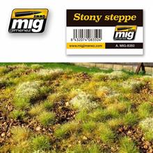 STONY STEPPE VEGETATION