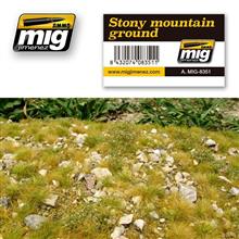 STONY MOUNTAIN GROUND VEGETATION