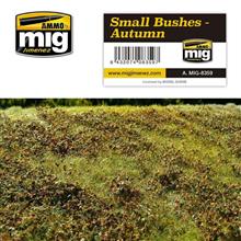 SMALL BUSHES - AUTUMN VEGETATION