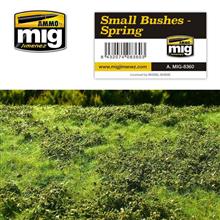 SMAL BUSHES - SPRING VEGETATION