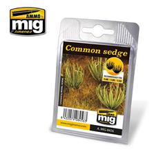 VEGETATION COMMON SEDGE