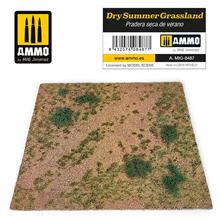 AMMO DRY SUMMER GRASSLAND