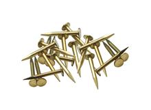 TRACK NAILS BRASS 500GR